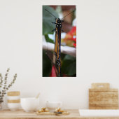 リーガルポーズ(昆虫)オオカバマダラ、モナーク ポスター (キッチン)