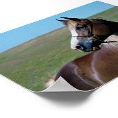 リーガルモーガンマーレプリント ポスター (角)