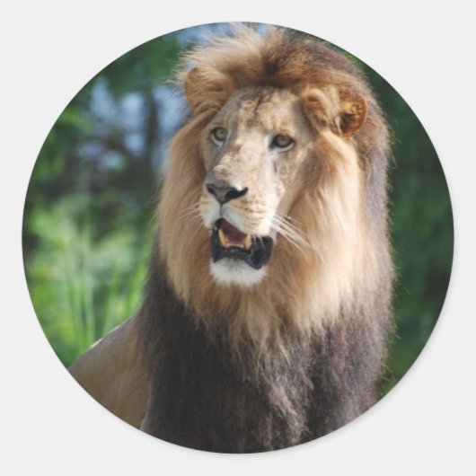 リーガルライオンステッカー ラウンドシール (正面)