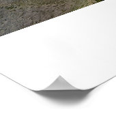 リーガルライニエ ポスター (角)