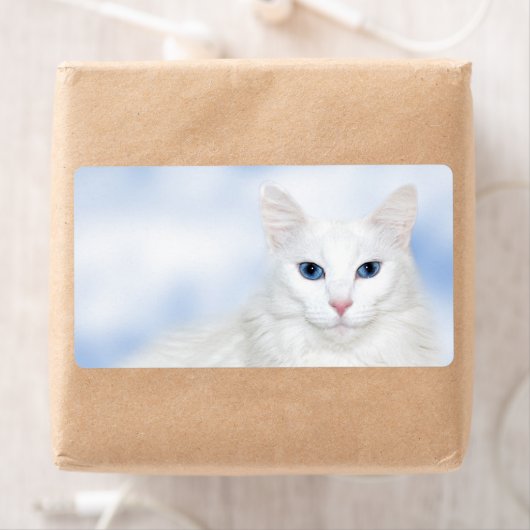 リーガル白猫 ラベル (インサイチュ)