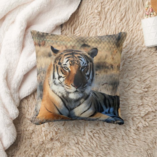 リーガル クッション (ブランケット)