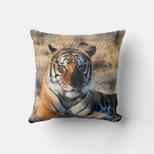 リーガル クッション (裏面)