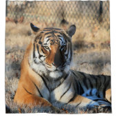 リーガル シャワーカーテン (正面)