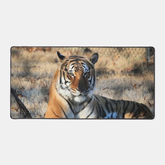 リーガル デスクマット (正面)