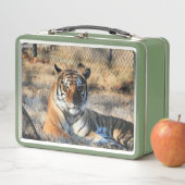 リーガル メタルランチボックス (インサイチュ)