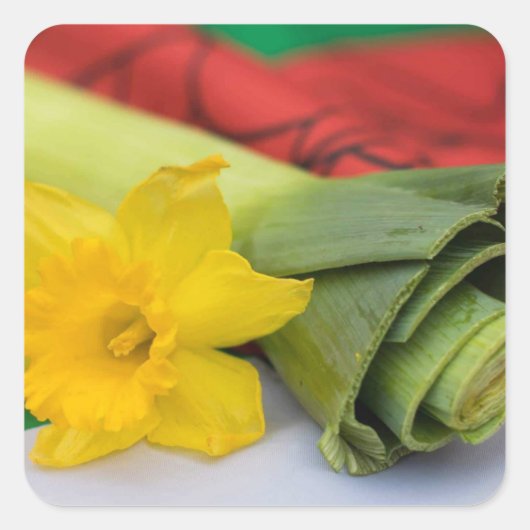 リークウェルシュカスタム スクエアシール (正面)