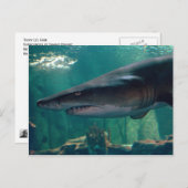リーグリンに勝つ ポストカード (正面/裏面)