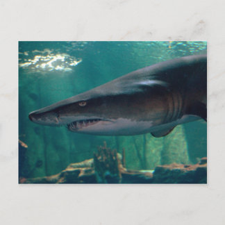 リーグリンに勝つ ポストカード