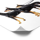 リーシュのドベルマン3人 ポスター (角)