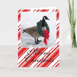 リースを持つクリスマスのガチョウ シーズンカード