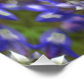 リース・オブ・ルパン….. ポスター (コーナー)