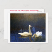 リーズの白鳥(1907) by Bruno Liljefors. ポストカード (正面/裏面)