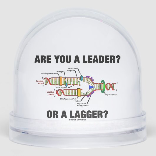 リーダーか？短剣か？DNA複製 (正面)