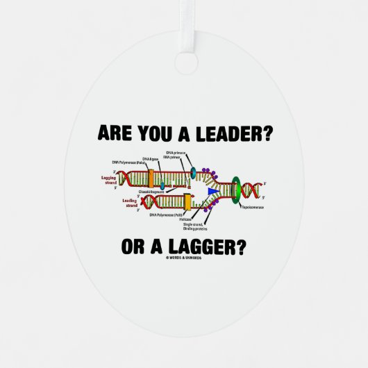 リーダーか?短剣か?DNA複製 メタルオーナメント (正面)