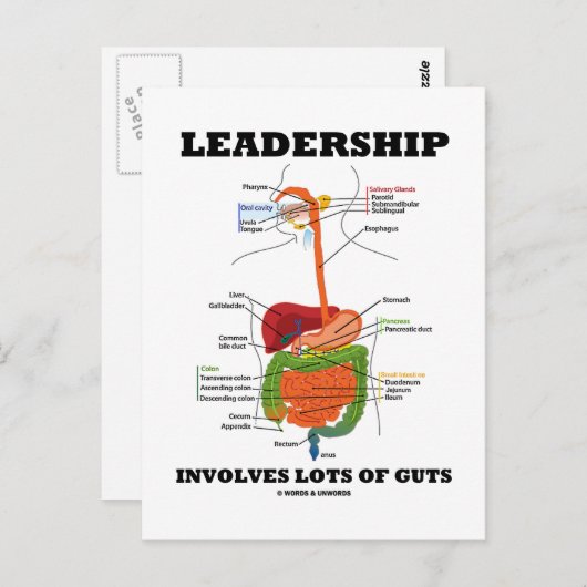 リーダーシップには多くの勇気(消化液)が含まれる ポストカード (正面/裏面)
