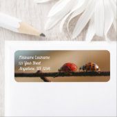 リーダー遊アドのLadybug ラベル (インサイチュ)