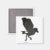 リーチのストームペトレル（フラッター） マグネット (正面/裏面)