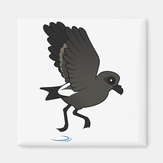 リーチのストームペトレル（フラッター） マグネット (正面)