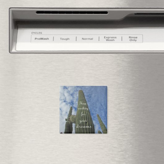 リーチやる気を起こさせるフォードリームサボスサウスウエスト マグネット (インサイチュ (食洗機))