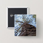 リーチハイバイシャーリーテイラー 缶バッジ (正面&裏面)