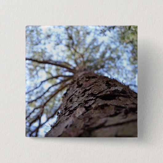 リーチハイバイシャーリーテイラー 缶バッジ (正面)