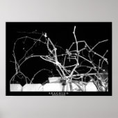 リーチ ポスター (正面)