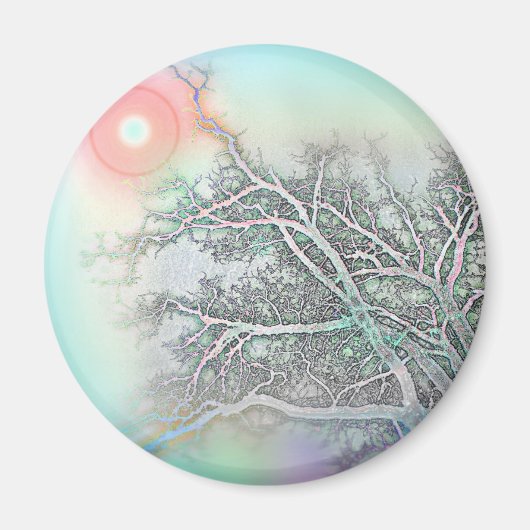 リーチ マグネット (正面)