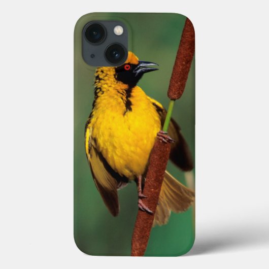 リードでとまられている間呼んでいる村の織工 Case-Mate iPhoneケース (裏面)