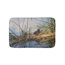 リードのマガモ