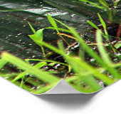 リードの青いヘロン ポスター (角)