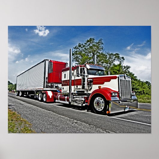 リードのW900Lポスター ポスター (正面)