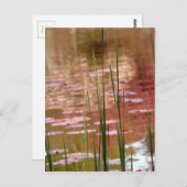 リードを通る水 ポストカード (正面/裏面)