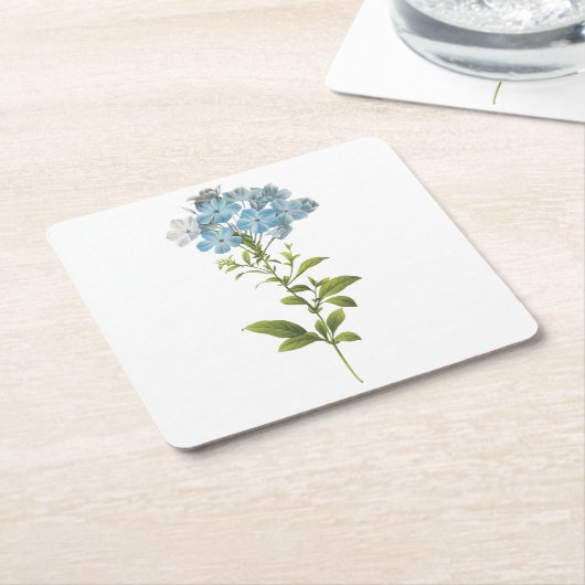 リードウォルト(プラムバゴケルーレア) by Redoute スクエアペーパーコースター (アングル)