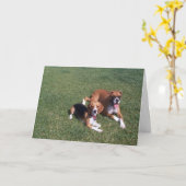 リードバック カード (黄色い花)