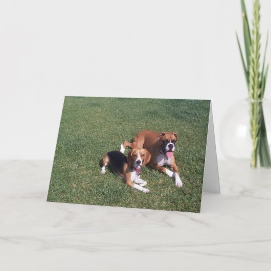 リードバック カード (正面)