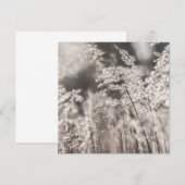 リード自然フォトカード (正面/裏面)