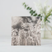 リード自然フォトカード (スタンド正面)