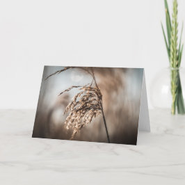 リード自然写真 カード