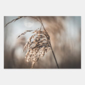 リード自然写真 ラッピングペーパーシート (正面3)