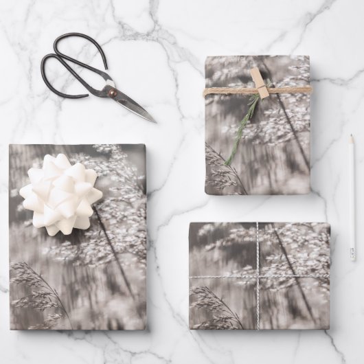 リード自然写真 ラッピングペーパーシート (正面)