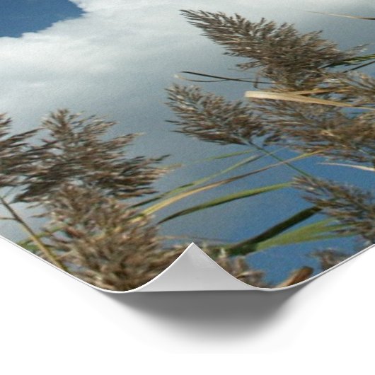 リード ポスター (角)