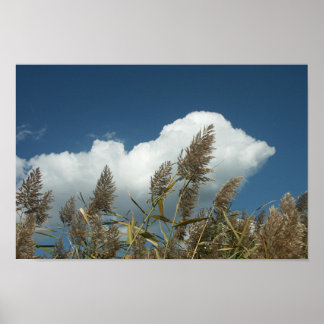 リード ポスター