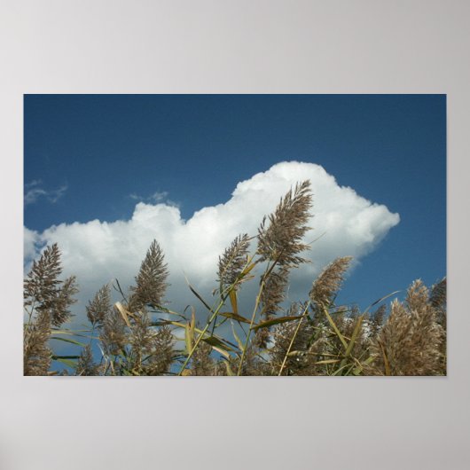 リード ポスター (正面)