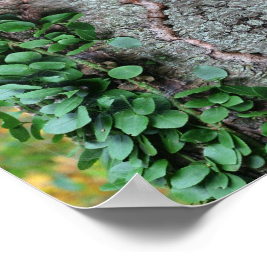 リービーグリーンつる植物オンツリー鏡抽象芸術 ポスター (角)