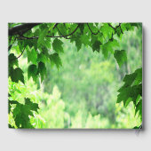 リービーグリーンバースデーパーティーゲストブック ゲストブック (裏面)