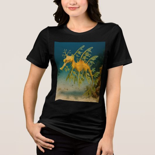 リービーシードラゴン トライブレンドＴシャツ (正面)