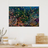 リーフで泳ぐ魚の群れ ポスター (キッチン)