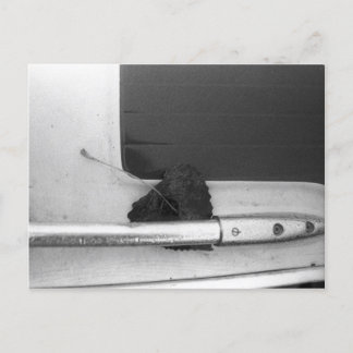 リーフとグラブレール ポストカード