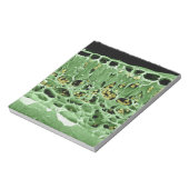 リーフの断面 ノートパッド (回転)